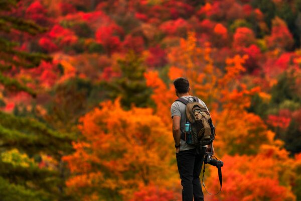 Gorkan Telci, of Southborough, Massachusetts pauses to consider where to aim his camera as the fall foliage on the eastern slope of Lower Wolfjaw Mountain in the Adirondacks leaves him spoilt for choice, Sunday, 27 September 2020. - Sputnik International