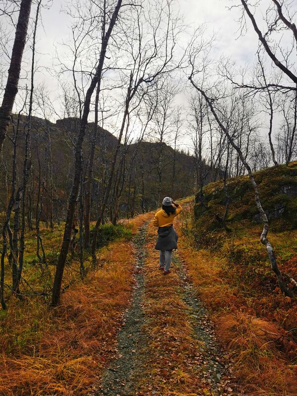 A walk in an autumn forest in Norway. - Sputnik International