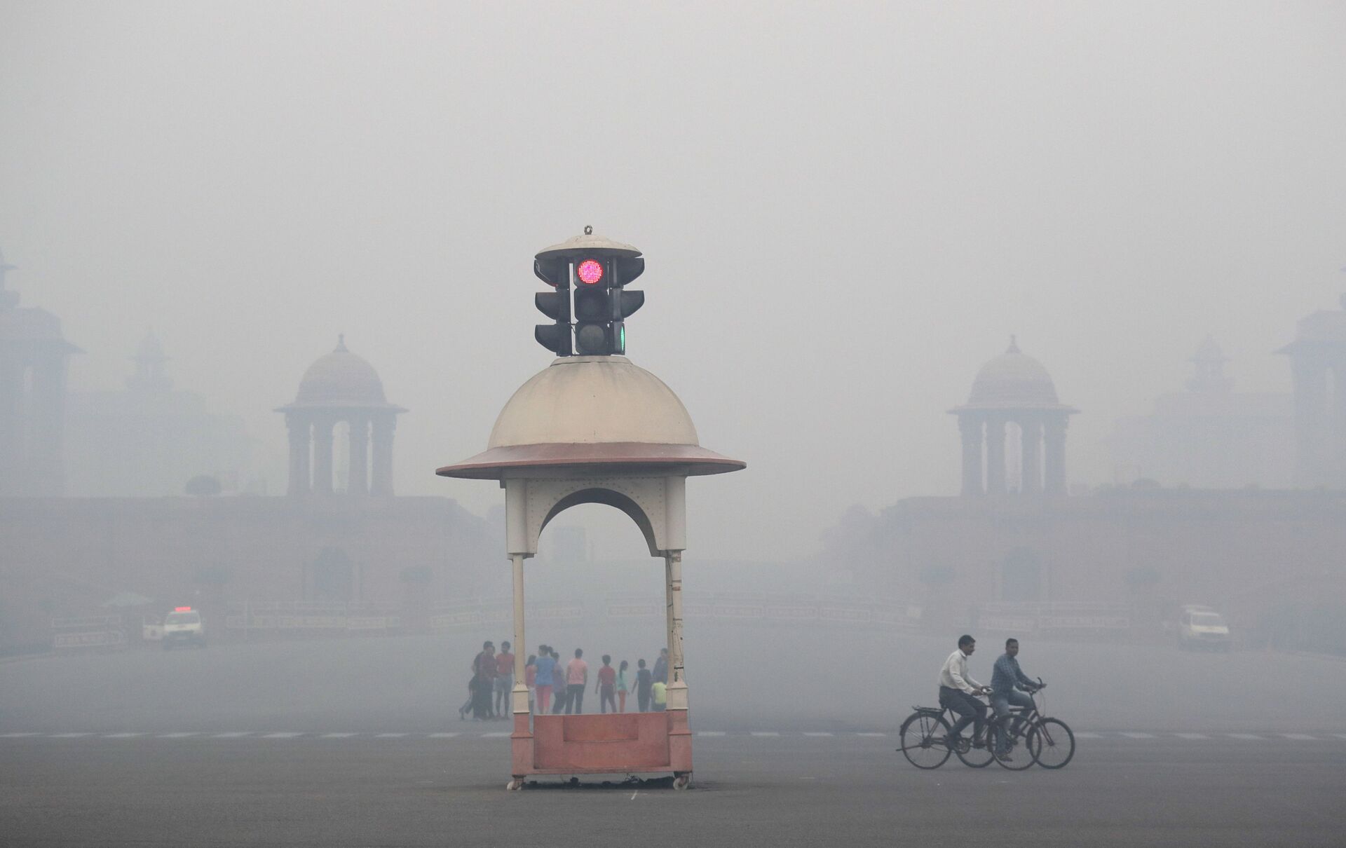 Delhi Gov't to Launch Massive Plantation Drive to Curb Perennial Air Pollution Challenge - Sputnik International, 1920, 02.06.2021