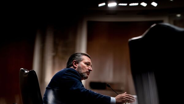 Senator Ted Cruz (R-TX) speaks during a Senate Foreign Relations Committee hearing on U.S. Policy in the Middle East, on Capitol Hill in Washington, DC, U.S., September 24, 2020. - Sputnik International