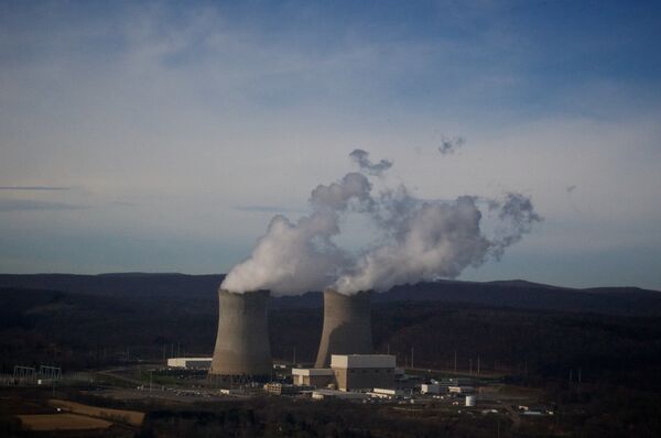 Nuclear Power Will Lead to 'National Suicide', Argues Award-Winning Investigative Journalist Nuclear Power Will Lead to 'National Suicide', Argues Award-Winning Investigative Journalist - Sputnik International