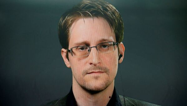 Edward Snowden speaks via video link during a news conference in New York City, U.S. September 14, 2016 - Sputnik International