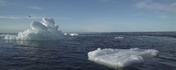 Floating ice is seen during the expedition of the The Greenpeace's Arctic Sunrise ship at the Arctic Ocean Floating ice is seen during the expedition of the The Greenpeace's Arctic Sunrise ship at the Arctic Ocean - Sputnik International