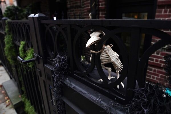 A bird's skeleton is placed outside a house in New York's Upper East Side as part of Halloween celebrations. - Sputnik International