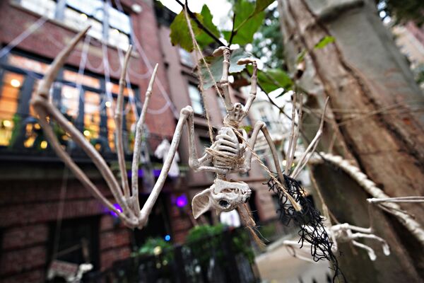 A bat skeleton is placed outside an Upper East Side home in New York City. - Sputnik International