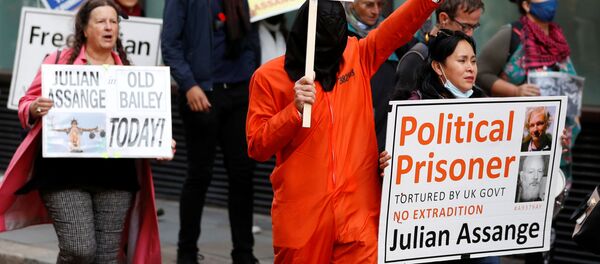 Supporters of WikiLeaks founder Julian Assange protest outside the Old Bailey, the Central Criminal Court on the final day of a hearing to decide whether Assange should be extradited to the United States, in London, Britain October 1, 2020. - Sputnik International