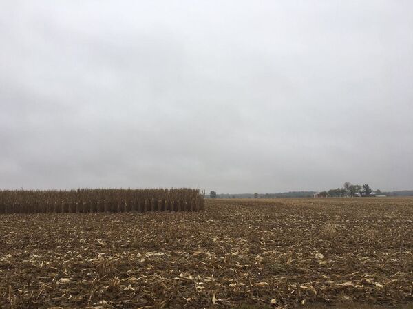 US Election Bellwethers: People Who Somehow Guess It Right - Sputnik International