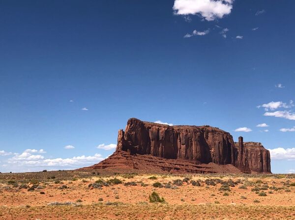 Largest US Tribe Hopes Upcoming Election Will Reverse Years of Neglect - Sputnik International