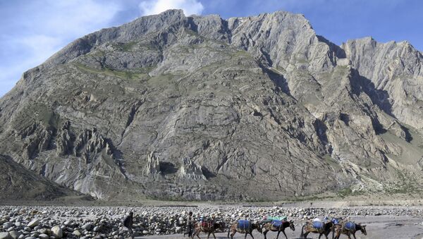 In this picture taken on August 20, 2019 porters and their mules make their way down from Baltoro glacier in the Karakoram range of Pakistan's mountain northern Gilgit region. - Northern Pakistan is home to some of the tallest mountains in the world, including K2, the world's second highest peak. Mountaineers have long been drawn to the area by the challenging climbs. - Sputnik International