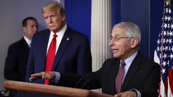 President Donald Trump listens as Dr. Anthony Fauci, director of the National Institute of Allergy and Infectious Diseases, speaks about the coronavirus in the James Brady Press Briefing Room of the White House, Wednesday, April 22, 2020, in Washington - Sputnik International