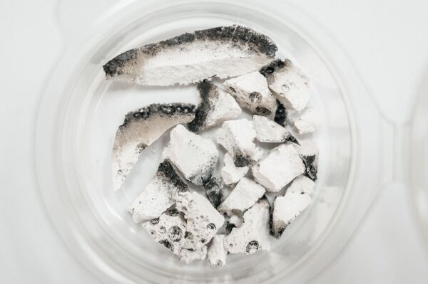 Russian Scientists Develop Environmentally Friendly Fuel to Replace Coal Russian Scientists Develop Environmentally Friendly Fuel to Replace Coal - Sputnik International