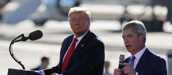 U.S. President Donald Trump holds a campaign rally at Phoenix Goodyear Airport in Arizona U.S. President Donald Trump holds a campaign rally at Phoenix Goodyear Airport in Arizona - Sputnik International