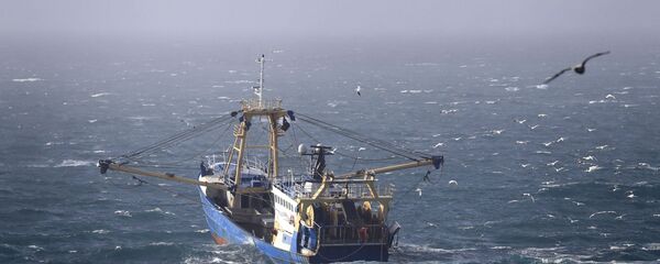 A fishing boat at work in the English Channel, off the southern coast of England, Saturday Feb. 1, 2020. The fishing industry is predicted to be one of the main subjects for negotiations between the UK and Europe, after the UK left the European Union on Friday. - Sputnik International