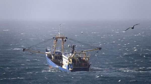 A fishing boat at work in the English Channel, off the southern coast of England, Saturday Feb. 1, 2020. The fishing industry is predicted to be one of the main subjects for negotiations between the UK and Europe, after the UK left the European Union on Friday. - Sputnik International