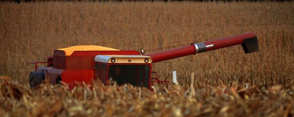 In this Sept. 22, 2015 photo, a central Illinois farmer races against the sunset to harvest his cornfield field near Farmingdale, Ill. With most of this year's corn and soybeans harvested, the U.S. Department of Agriculture is boosting its expectations for the size of the crops. - Sputnik International