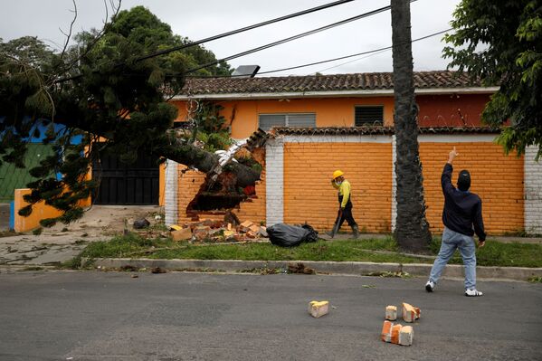 A resident points at a damaged electric power line after a tree fell from strong winds caused by tropical storm Eta in San Salvador, El Salvador, 4 November 2020.  - Sputnik International
