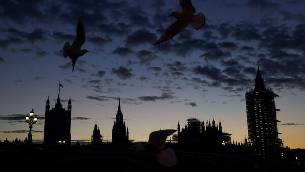 Gulls fly as the parliament is seen during sunset, amid the coronavirus disease (COVID-19) outbreak, in London - Sputnik International