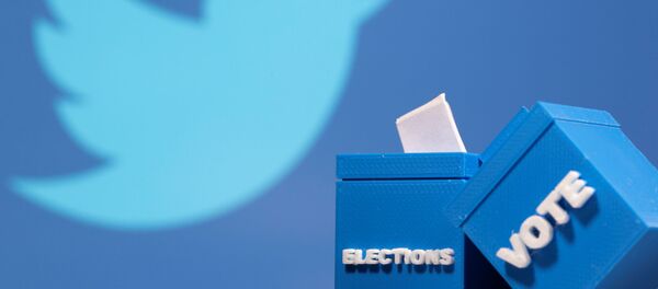 3D printed ballot boxes are seen in front of a displayed Twitter logo in this illustration taken November 4, 2020 - Sputnik International