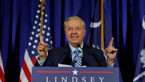 South Carolina Republican Senator Lindsey Graham in the 2020 US election in South Carolina - Sputnik International
