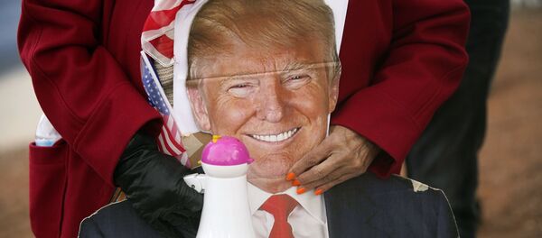 A supporter of President Donald Trump holds a cardboard cutout of the president during a protest of the election outside of the Clark County Election Department, Sunday, Nov. 8, 2020, in North Las Vegas A supporter of President Donald Trump holds a cardboard cutout of the president during a protest of the election outside of the Clark County Election Department, Sunday, Nov. 8, 2020, in North Las Vegas - Sputnik International