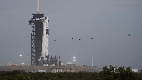 A SpaceX Falcon 9 rocket with the company's Crew Dragon spacecraft onboard is seen on the launch pad at Launch Complex 39A after being rolled out overnight as preparations continue for the Crew-1 mission, Tuesday, 10 November 2020, at NASA's Kennedy Space Center in Florida. - Sputnik International