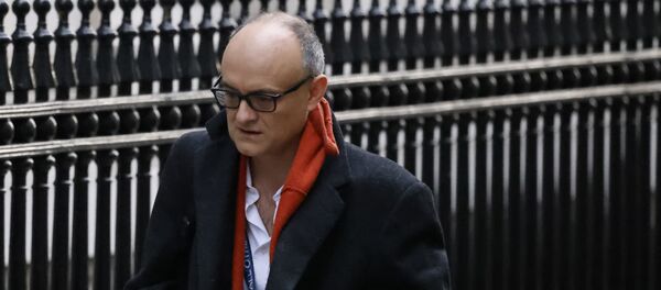 Number 10 special advisor Dominic Cummings arrives in Downing street in London on November 13, 2020. Number 10 special advisor Dominic Cummings arrives in Downing street in London on November 13, 2020. - Sputnik International