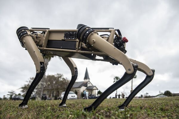Video: US Air Force Base Security to Start Patrolling Grounds With ‘Robot Dogs’ - Sputnik International
