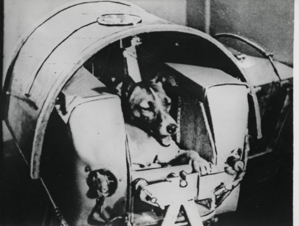 Photos: 2,400 Vintage Images From NASA’s Space Race Era Go Up For Auction Photos: 2,400 Vintage Images From NASA’s Space Race Era Go Up For Auction - Sputnik International