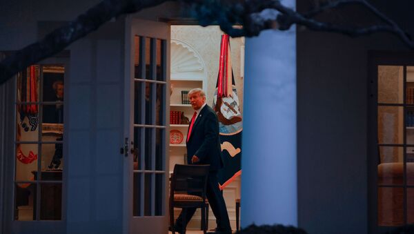 U.S. President Donald Trump stands by his desk in the Oval Office after returning at the conclusion of an event about the Operation Warp Speed program, the joint Defense Department and HHS initiative that has struck deals with several drugmakers in an effort to help speed up the search for effective treatments for the ongoing coronavirus disease (COVID-19) pandemic, in the Rose Garden of the White House in Washington, U.S., November 13, 2020. - Sputnik International