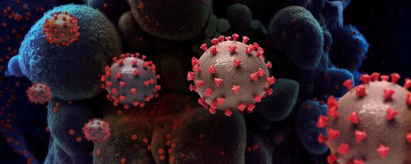 Creative rendition of SARS-COV-2 virus particles - Sputnik International