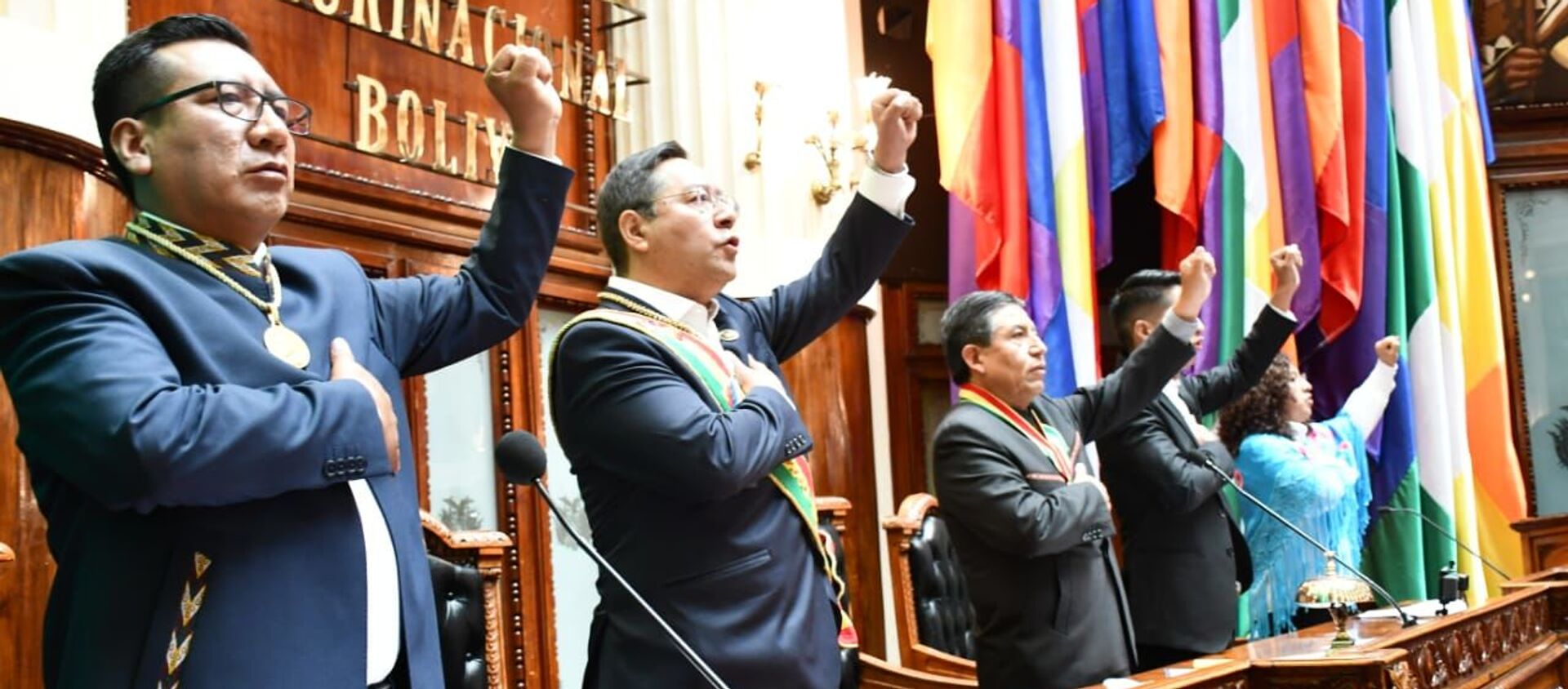Luis Arce is sworn as president of the Plurinational State of Bolivia on 8 November 2020 - Sputnik International, 1920, 17.11.2020