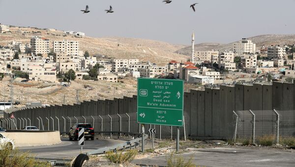 Birds fly as vehicles drive near the Hizma checkpoint in the Israeli-occupied West Bank, November 12, 2020. - Sputnik International