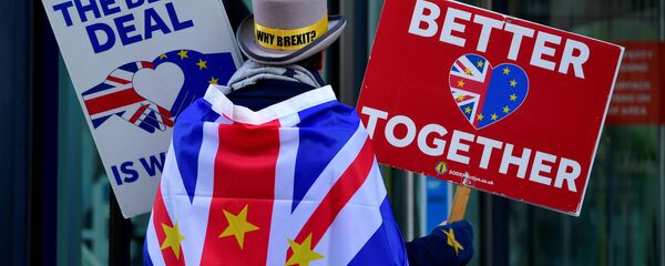 Anti-Brexit protester Steve Bray demonstrates outside of the conference centre where Brexit trade deal negotiations are taking place in London, Britain November 9, 2020 Anti-Brexit protester Steve Bray demonstrates outside of the conference centre where Brexit trade deal negotiations are taking place in London, Britain November 9, 2020 - Sputnik International