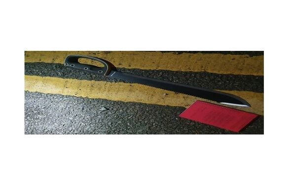 Bladed Weapons Remain Bane of UK Police as 10,000 Knives Get Taken Off Streets - Sputnik International