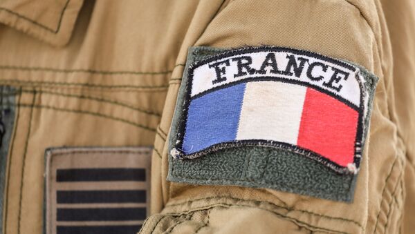 The badge of France's Barkhane mission in Africa's Sahel region, is seen on a soldier's uniform, on the French Air Force base in Niamey on December 22, 2017.  - Sputnik International
