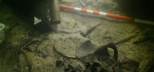 Photos: Medieval Soldier’s Remains, Weapons Discovered Underneath Lithuanian Lake Photos: Medieval Soldier’s Remains, Weapons Discovered Underneath Lithuanian Lake - Sputnik International