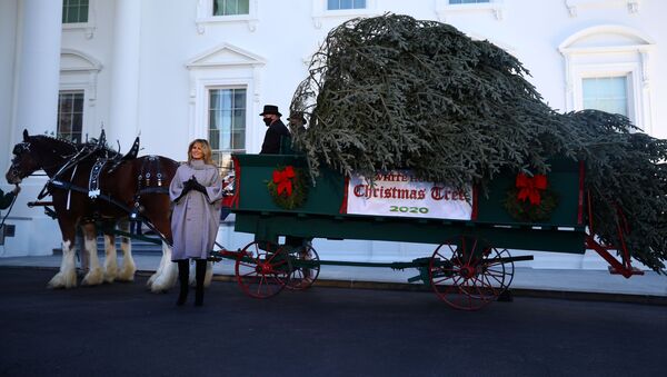 U.S. first lady Melania Trump applauds the arrival of the White House Christmas Tree, an 18.5-foot Fraser Fir from Oregon, as it arrives outside the White House in Washington, U.S., November 23, 2020 - Sputnik International