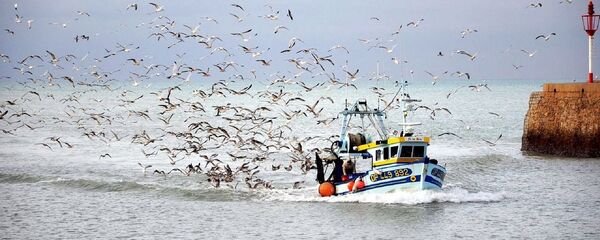 Fishing Boat Fishing Boat - Sputnik International