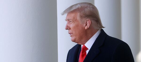 U.S. President Trump hosts presentation of 73rd National Thanksgiving Turkey at the White House U.S. President Trump hosts presentation of 73rd National Thanksgiving Turkey at the White House - Sputnik International