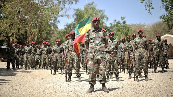 Members of the Ethiopian National Defense Forces - Sputnik International