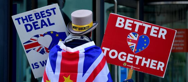 Anti-Brexit protester Steve Bray demonstrates outside of the conference centre where Brexit trade deal negotiations are taking place in London, Britain November 9, 2020 - Sputnik International