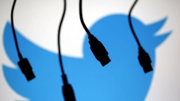 Electronic cables are silhouetted next to the logo of Twitter in this September 23, 2014 illustration photo in Sarajevo. - Sputnik International