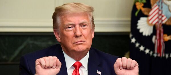 US President Donald Trump gestures as he participates in a Thanksgiving video teleconference with members of the military forces at the White House in Washington, 26 November 2020. - Sputnik International