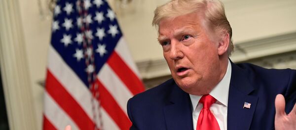 U.S. President Donald Trump speaks to reporters after he participated in a Thanksgiving video teleconference with members of the military forces at the White House in Washington, U.S., November 26, 2020. U.S. President Donald Trump speaks to reporters after he participated in a Thanksgiving video teleconference with members of the military forces at the White House in Washington, U.S., November 26, 2020. - Sputnik International