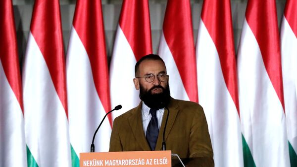 Jozsef Szajer, senior member of Fidesz party delivers his speech in Budapest - Sputnik International