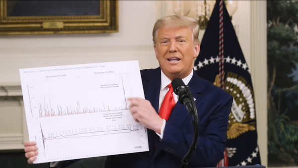 Screenshot from the video statement by US President Donald Trump regarding alleged voter fraud during the US presidential election - Sputnik International