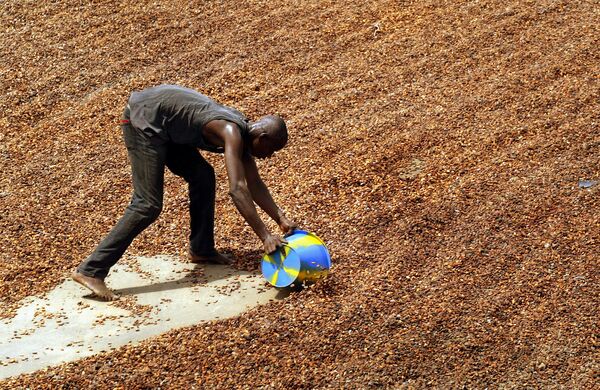 ‘They Were Whipped, Beaten’: US Supreme Court Weighs Child Slavery Case Against Nestle, Cargill ‘They Were Whipped, Beaten’: US Supreme Court Weighs Child Slavery Case Against Nestle, Cargill - Sputnik International
