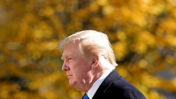 U.S. President Donald Trump walks on the South Lawn of the White House upon his return to Washington from Camp David, U.S., November 29, 2020. - Sputnik International