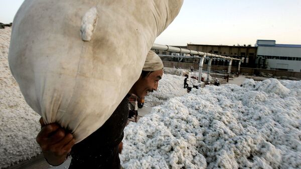 A worker carries a sack containing raw cotton in the city of Korla  in northwest China's Xinjiang Uygur Autonomous Region on Tuesday, Oct. 10, 2006 - Sputnik International