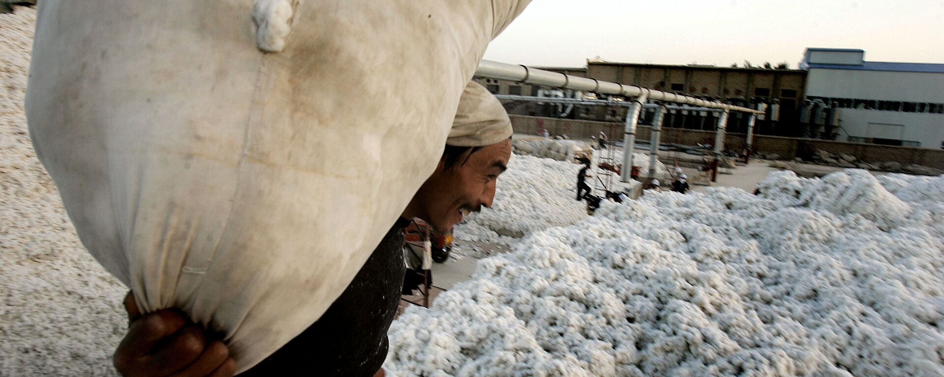 A worker carries a sack containing raw cotton in the city of Korla  in northwest China's Xinjiang Uygur Autonomous Region on Tuesday, Oct. 10, 2006 - Sputnik International, 1920, 03.12.2020